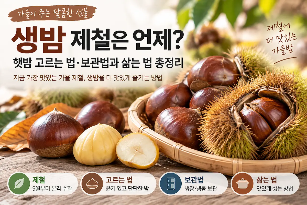 생밤 제철 햇밤 고르는 법과 보관법