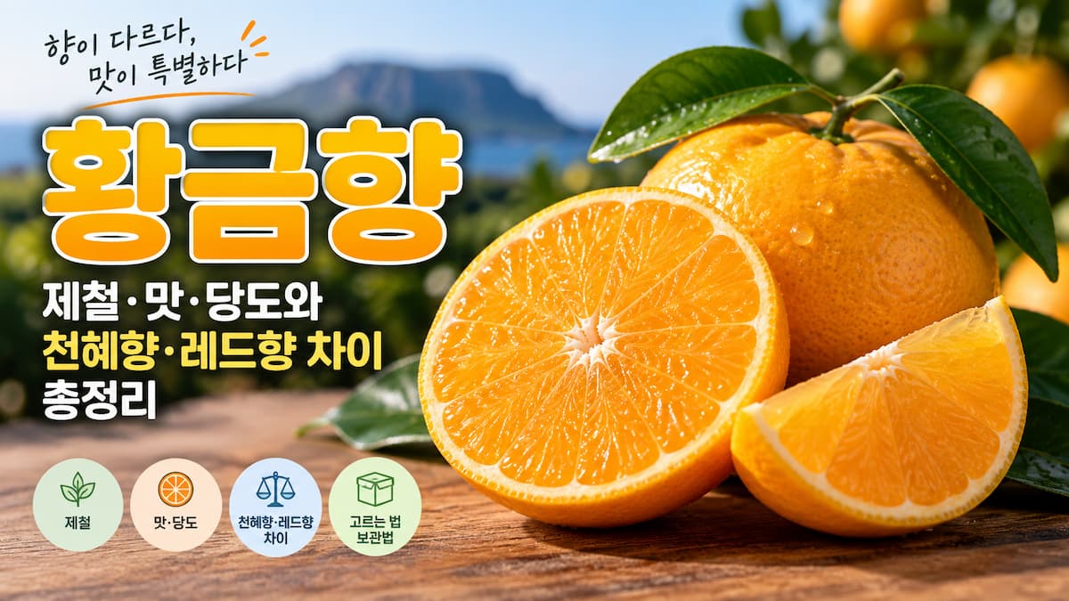 황금향 과일과 반으로 자른 과육 모습