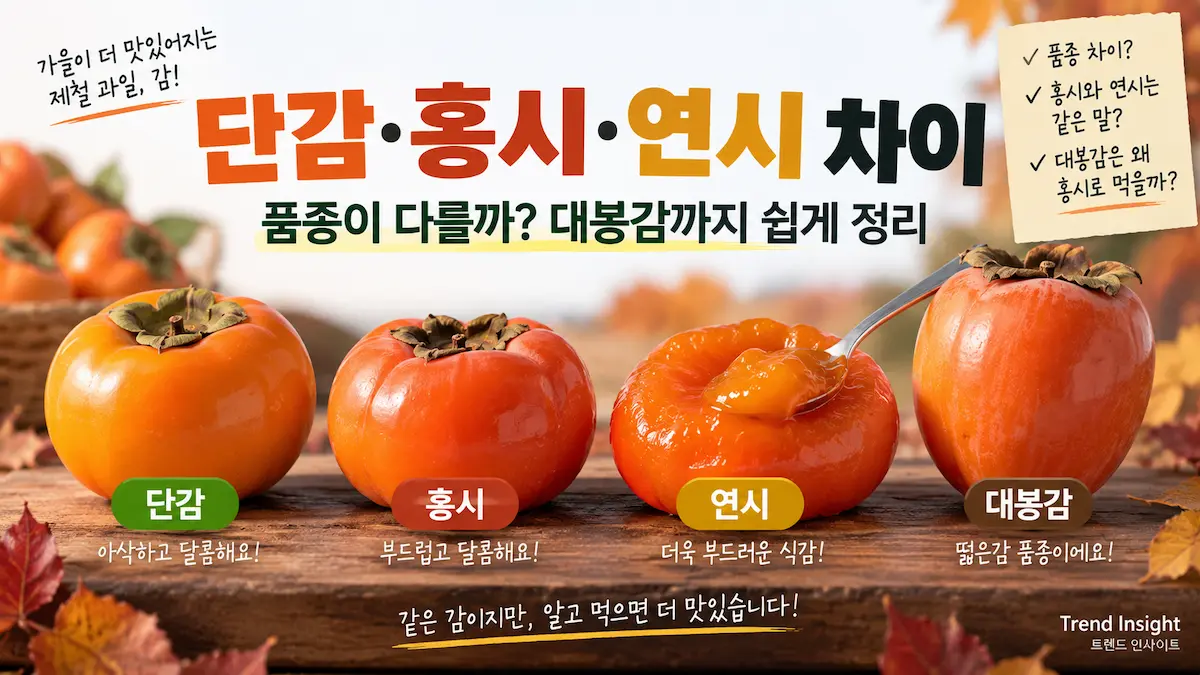 단감 홍시 연시 차이와 대봉감의 특징 비교
